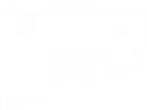 Hub Stadium Logo